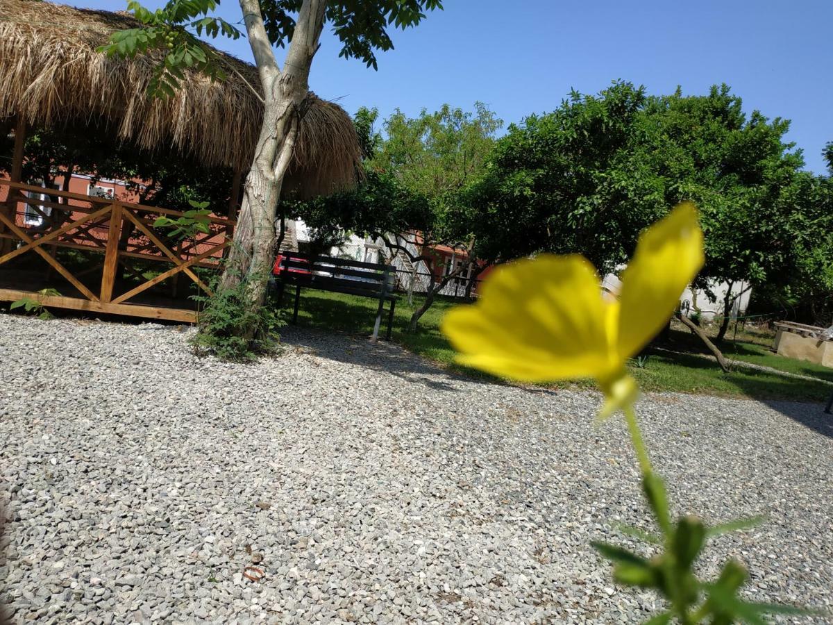 Kolkhi Guest House Gonio Esterno foto